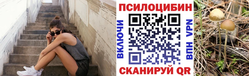Псилоцибиновые грибы мицелий  где продают наркотики  Красногорск 